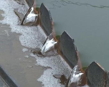 1731294629316225.jpg 圖片2.jpg